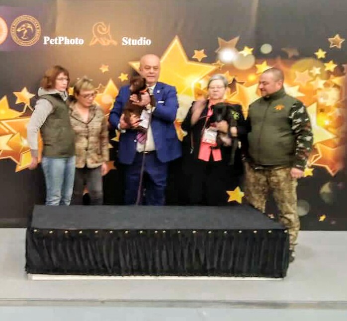  Паттердейл терьер.