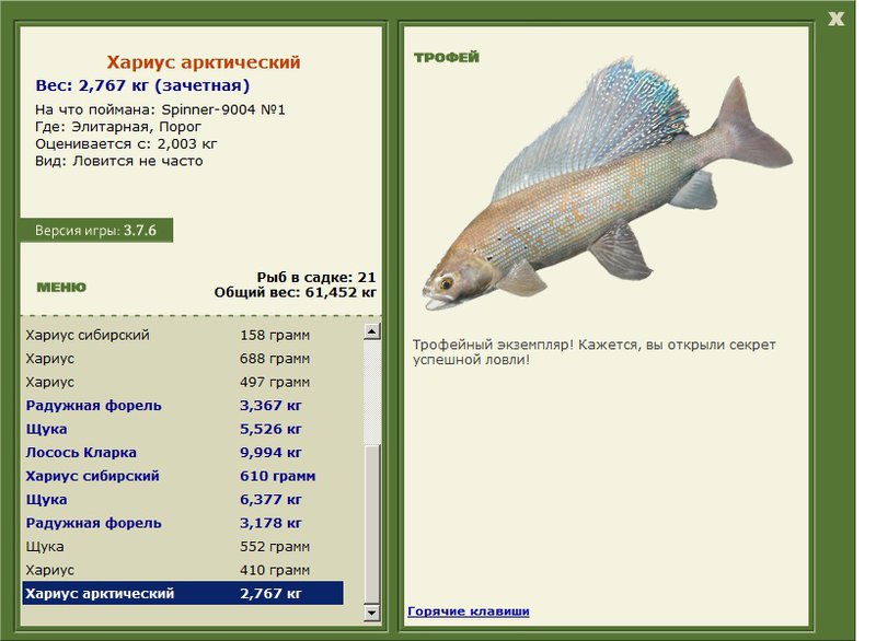 Хариус арктический 
