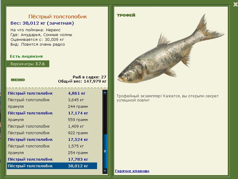 турниры • РУССКАЯ РЫБАЛКА