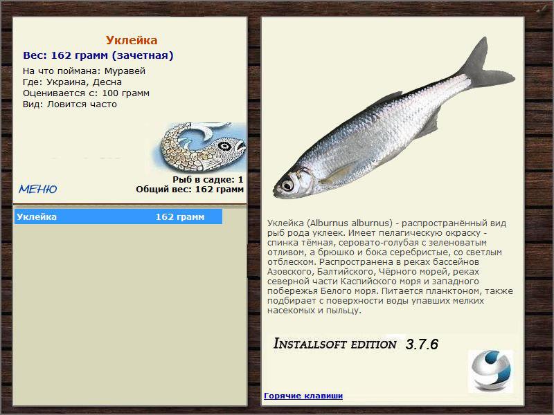 Десна 