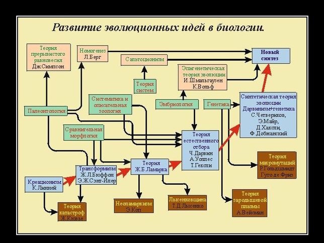 Хочет ли кто нибуд из девоти сделать добровольную ампутацию: