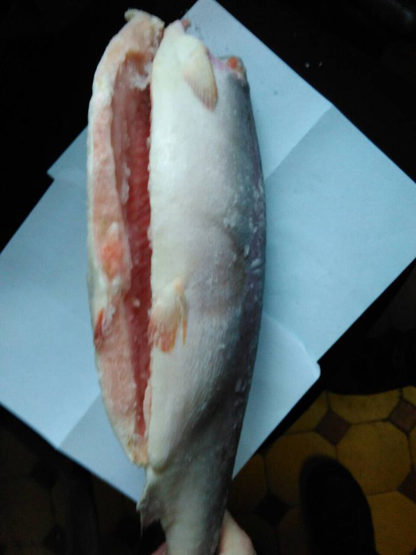  Продам рыбу