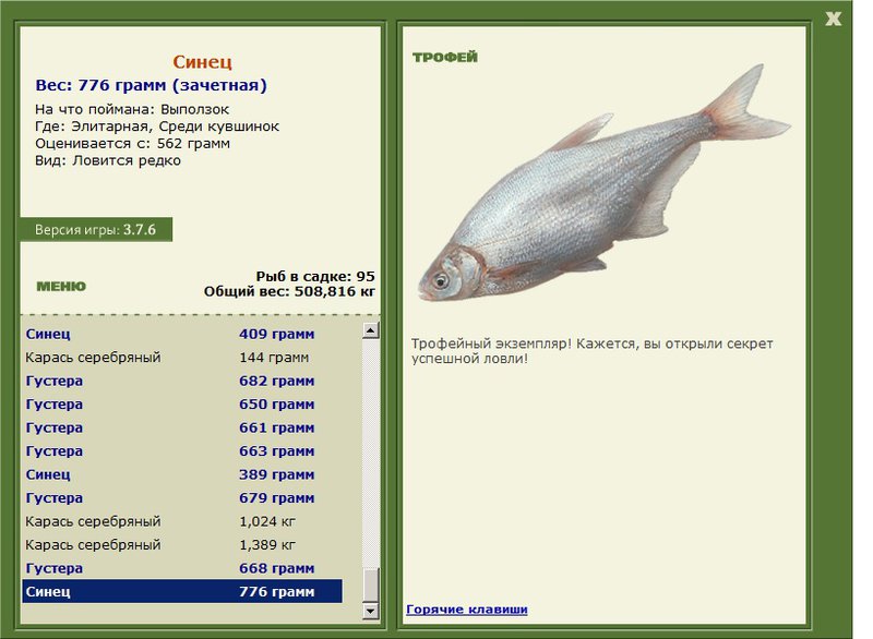 Синец 