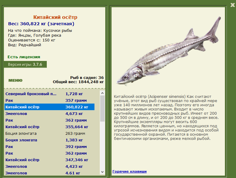 Голубая река 