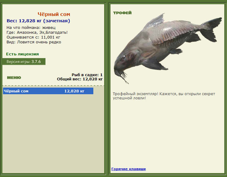 турниры • РУССКАЯ РЫБАЛКА