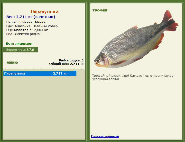 турниры • РУССКАЯ РЫБАЛКА