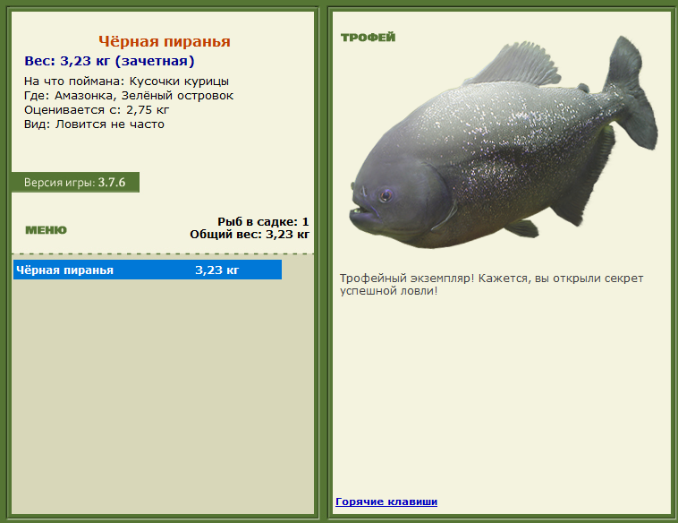 турниры • РУССКАЯ РЫБАЛКА
