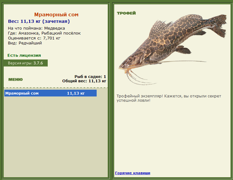 турниры • РУССКАЯ РЫБАЛКА