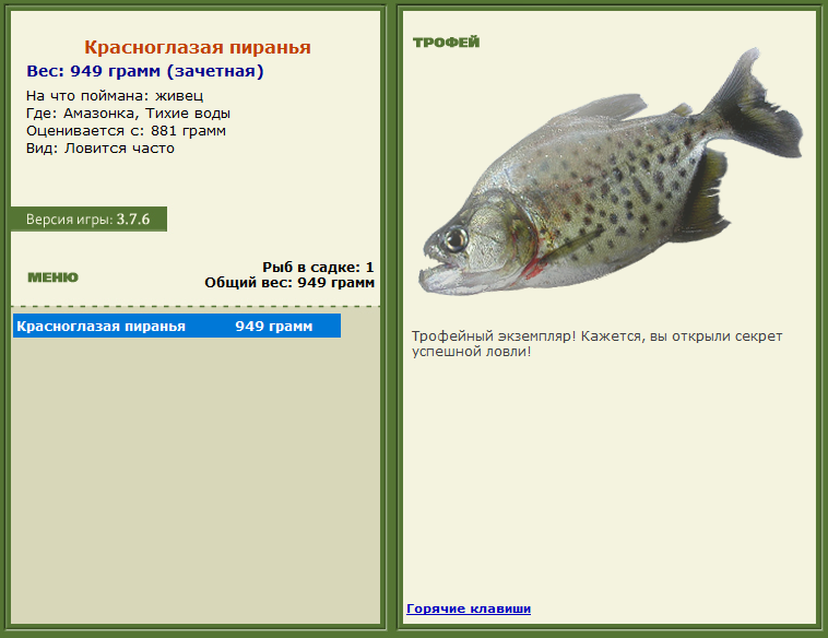 турниры • РУССКАЯ РЫБАЛКА