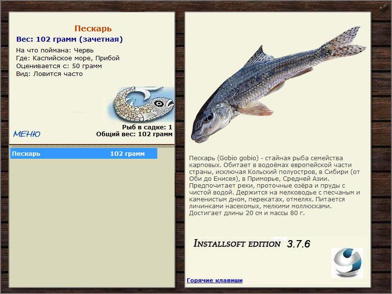 Прибой 