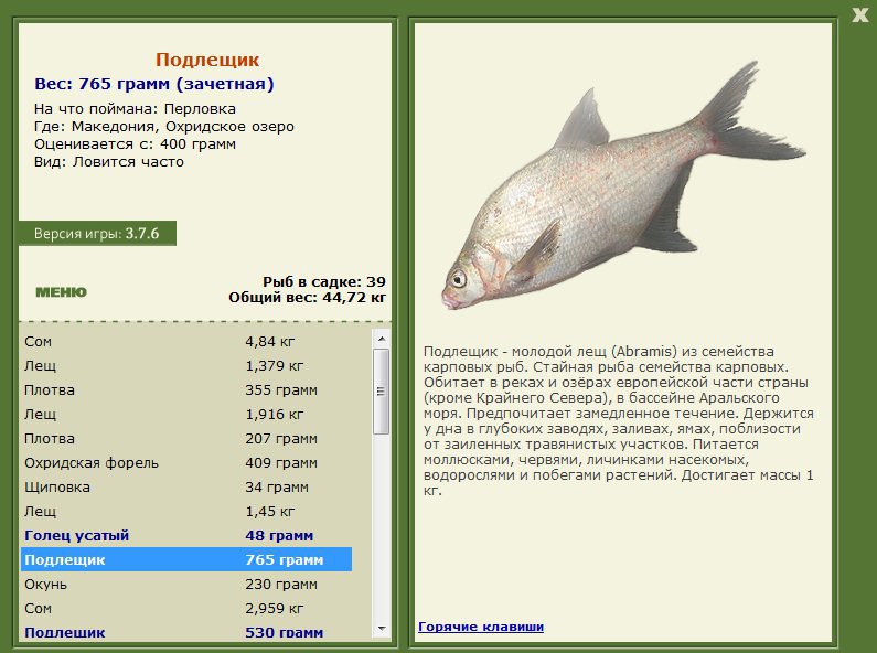 Охридское озеро 
