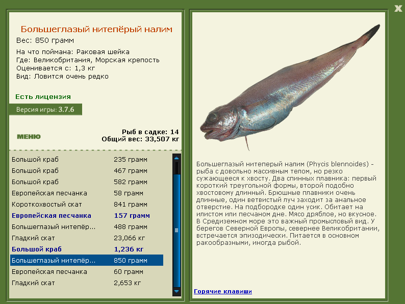 Морская крепость 