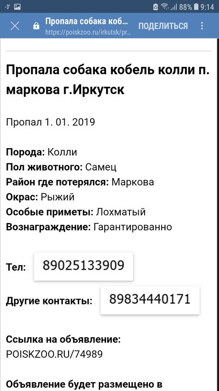 Изображение