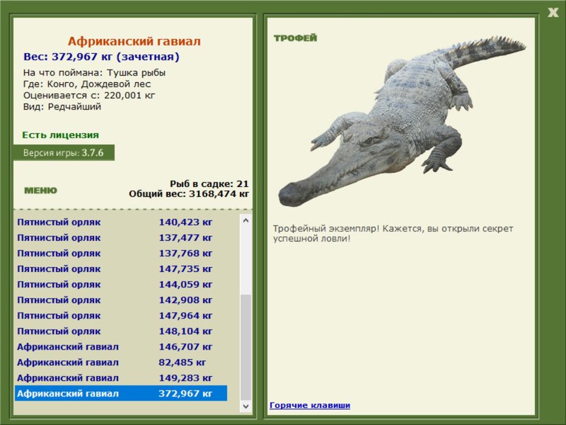 Дождевой лес 