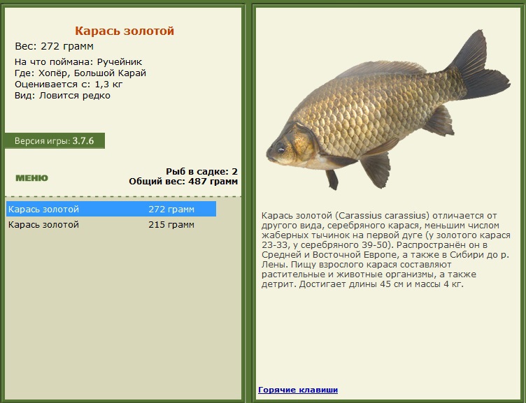 турниры • РУССКАЯ РЫБАЛКА