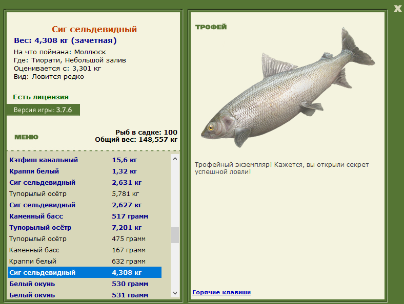 Небольшой залив 