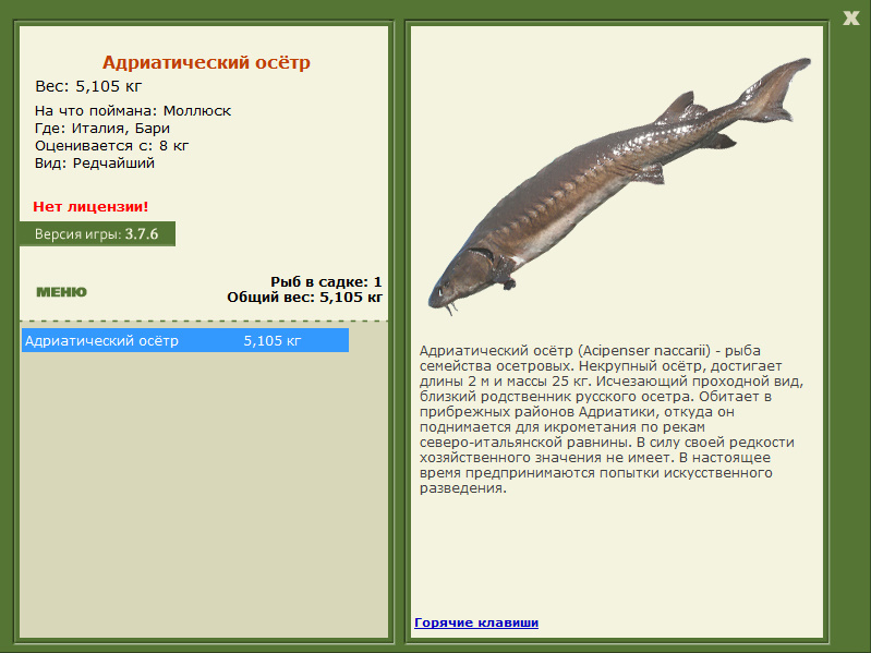 турниры • РУССКАЯ РЫБАЛКА