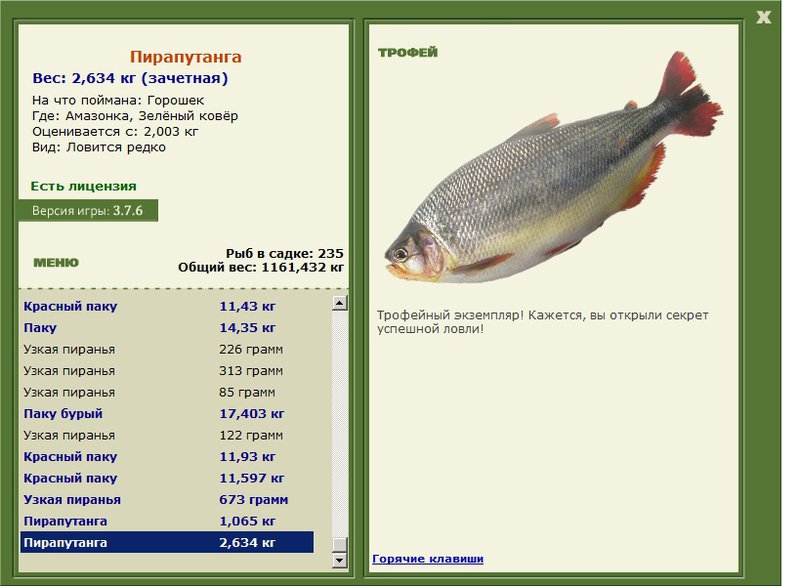 Пирапутанга 
