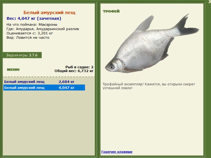 Белый амурский лещ 