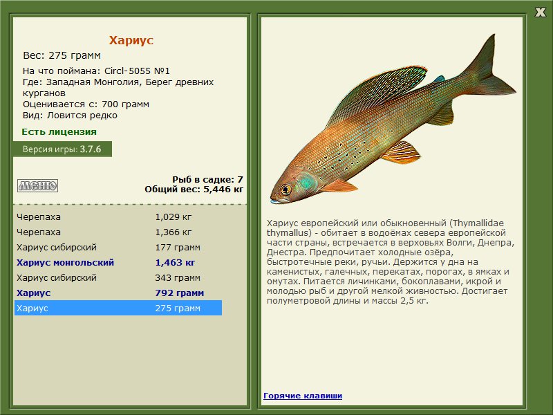 Берег древних курганов 