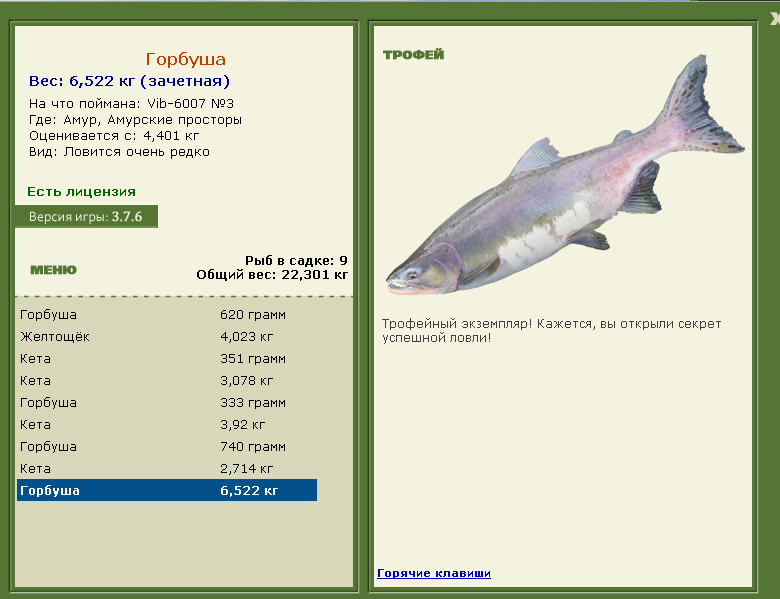 Амурские просторы 