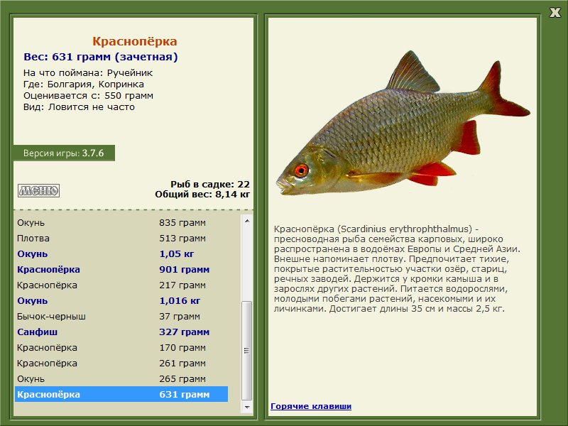 Копринка 