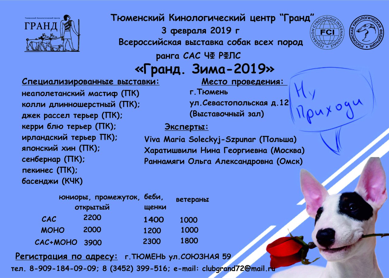 ФОРУМ ЛЮБИТЕЛЕЙ КОЛЛИ И ШЕЛТИ 