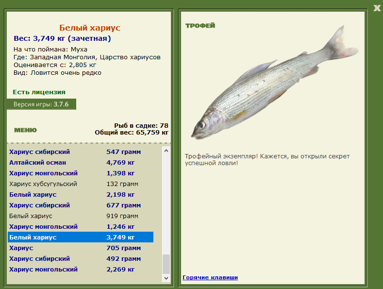 Царство хариусов 