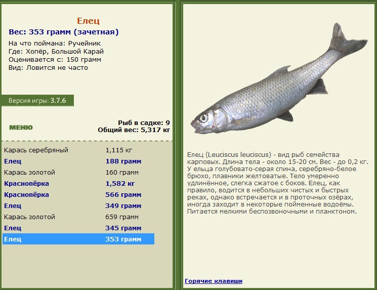 турниры • РУССКАЯ РЫБАЛКА