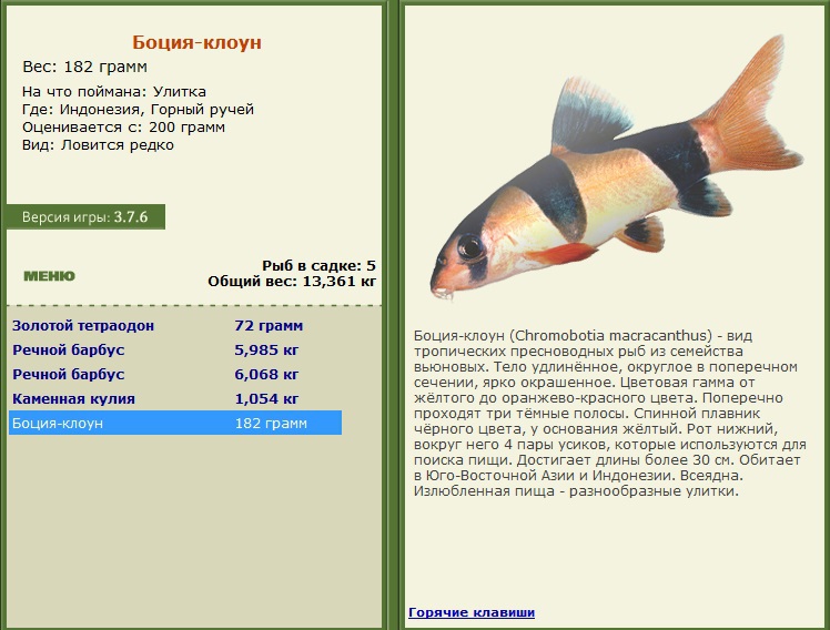 турниры • РУССКАЯ РЫБАЛКА