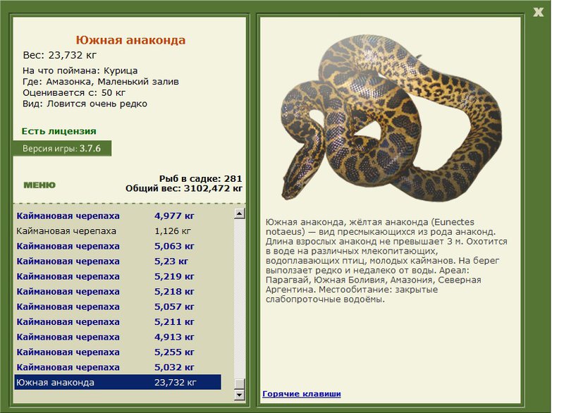 турниры • РУССКАЯ РЫБАЛКА