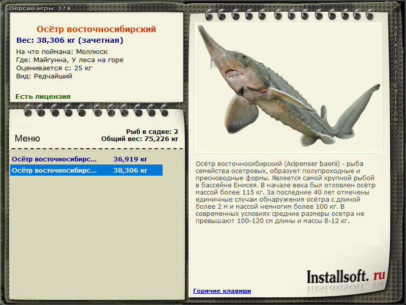 Ultimate Fishing Simulator 2 officially announced for PC and consoles