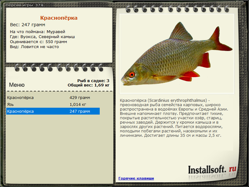 Северный камыш 