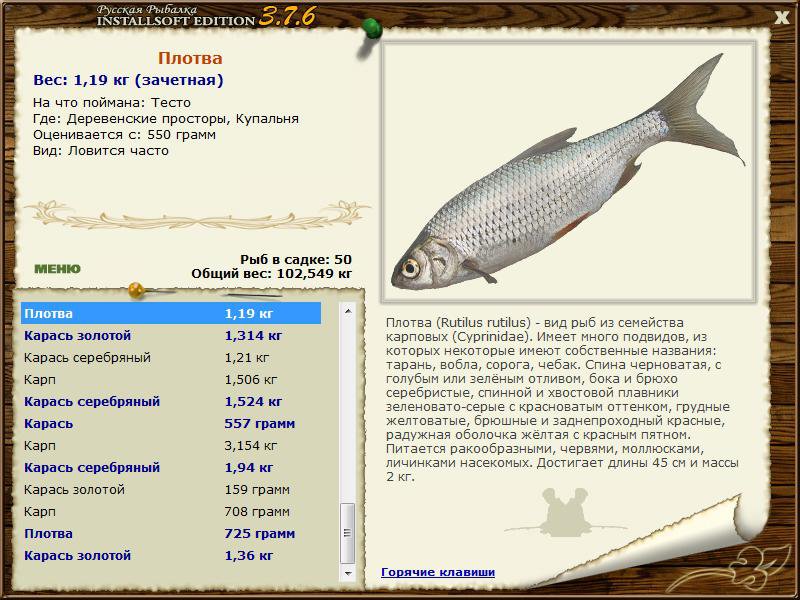 Купальня 