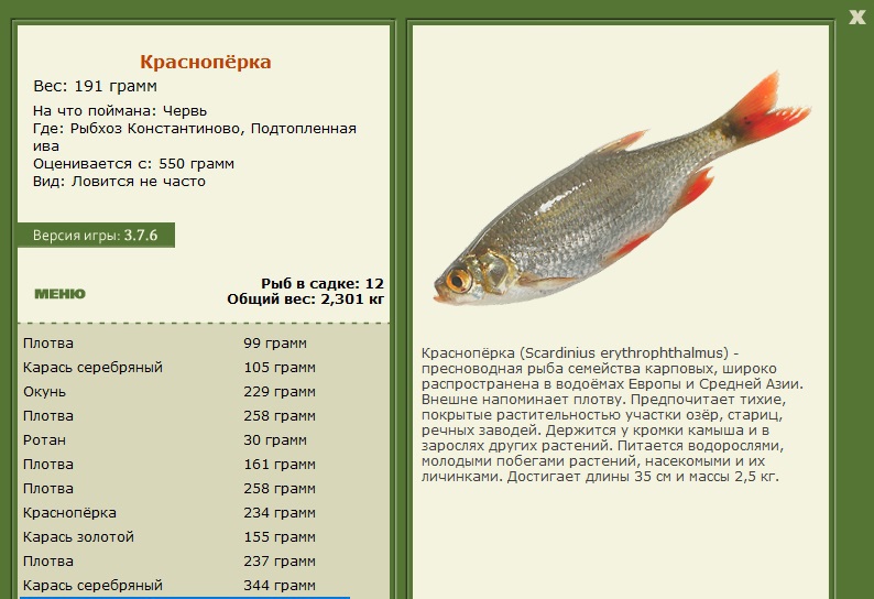 турниры • РУССКАЯ РЫБАЛКА