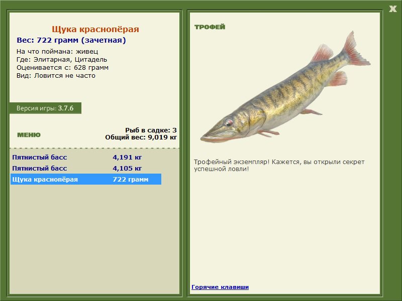 Цитадель 