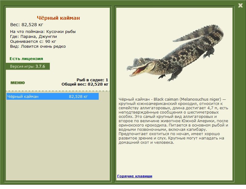турниры • РУССКАЯ РЫБАЛКА