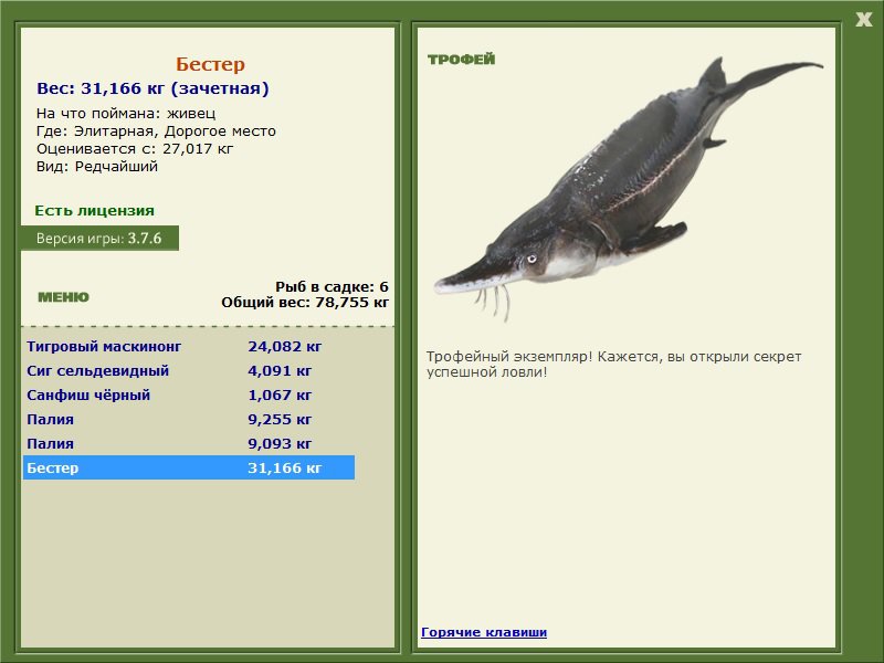 Бестер 