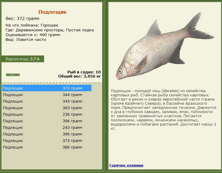 турниры • РУССКАЯ РЫБАЛКА