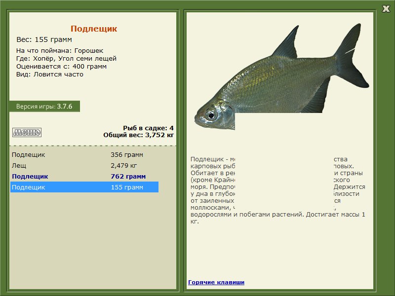 Угол семи лещей 