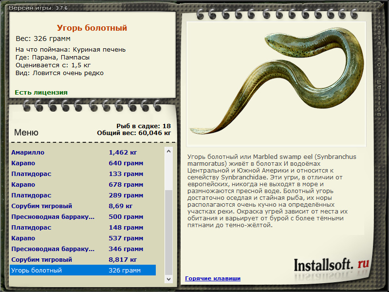 турниры • РУССКАЯ РЫБАЛКА