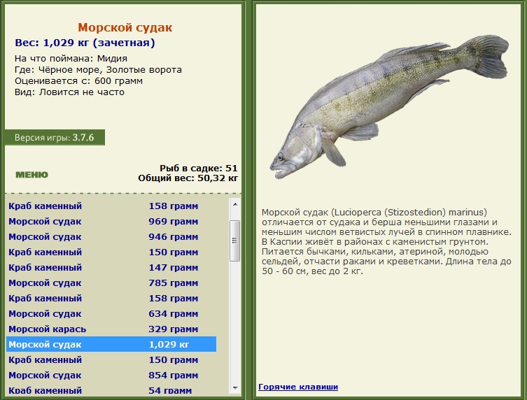 турниры • РУССКАЯ РЫБАЛКА