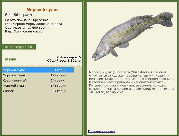 турниры • РУССКАЯ РЫБАЛКА