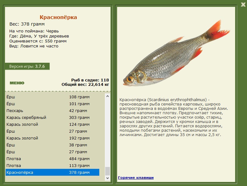 турниры • РУССКАЯ РЫБАЛКА