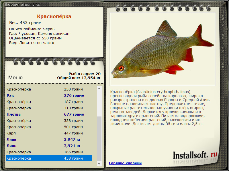 турниры • РУССКАЯ РЫБАЛКА