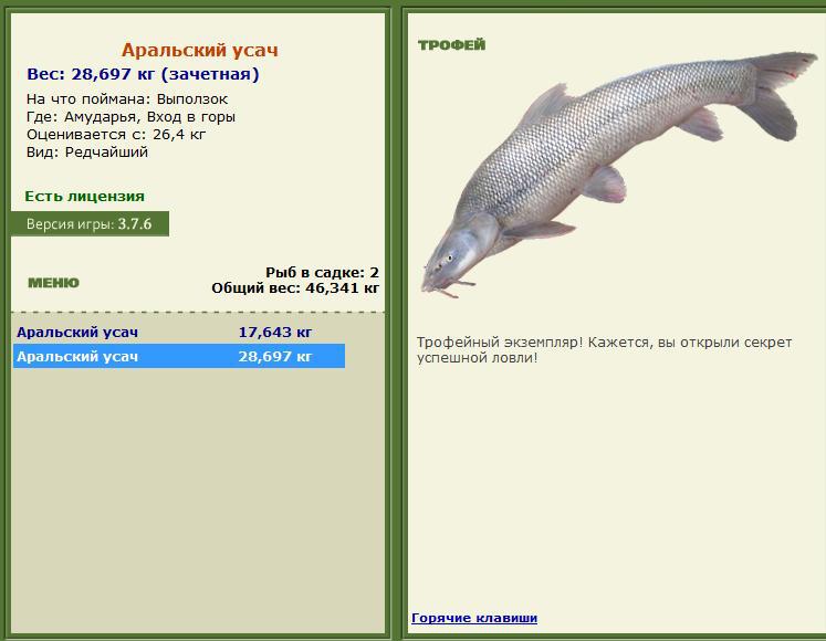 турниры • РУССКАЯ РЫБАЛКА