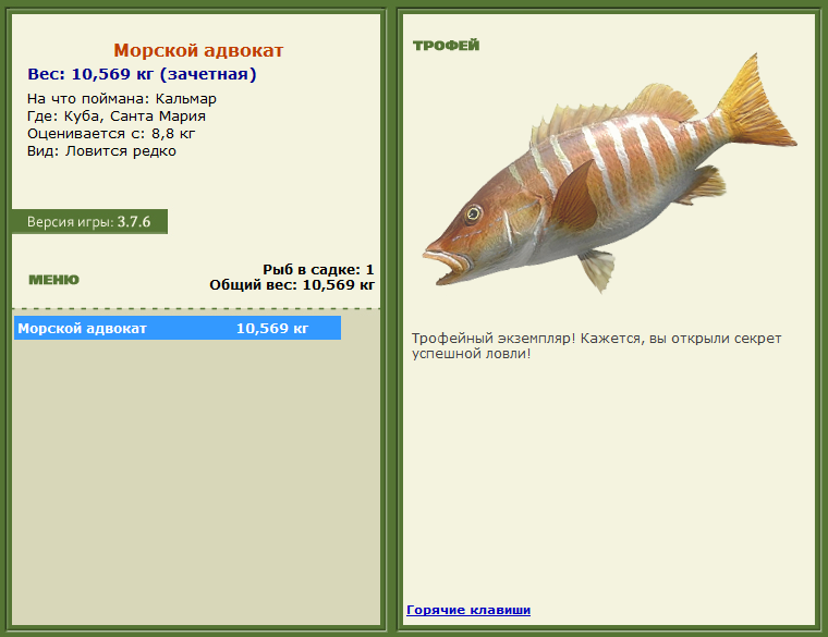 турниры • РУССКАЯ РЫБАЛКА