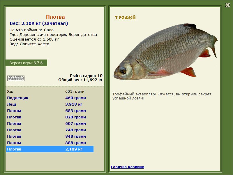 Берег детства 