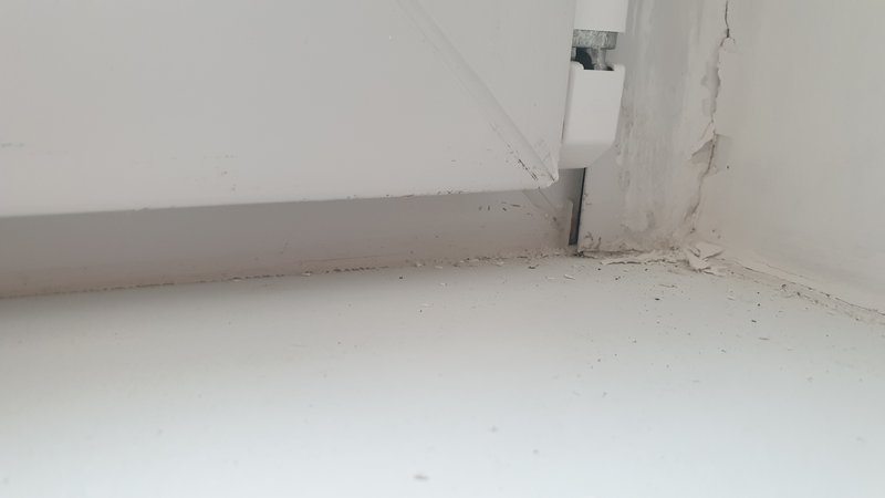  Страница 13 - Снос пятиэтажек