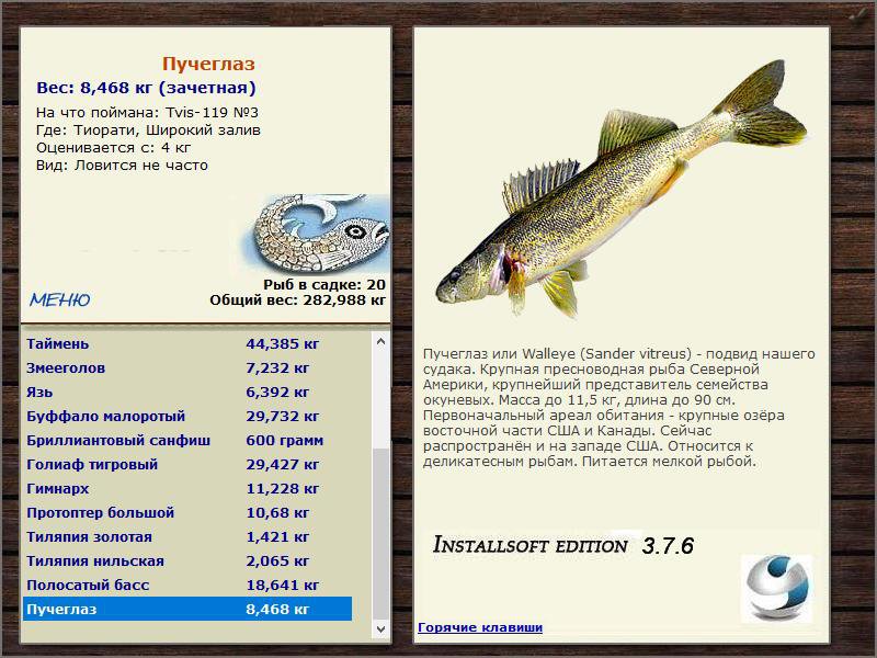 Широкий залив 